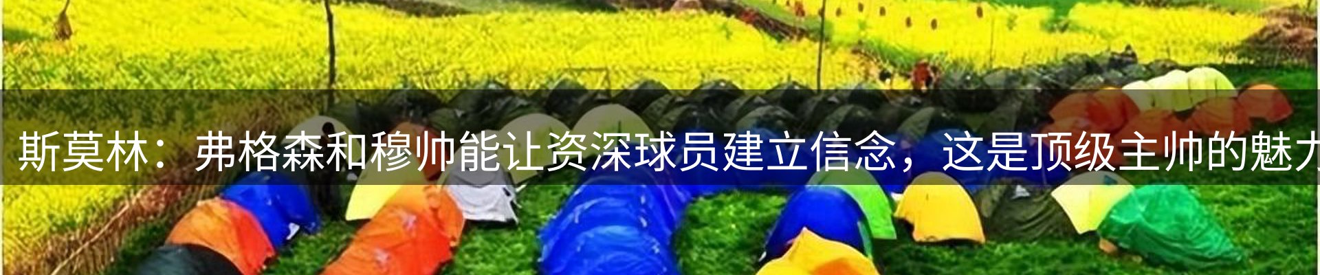 行业趋势